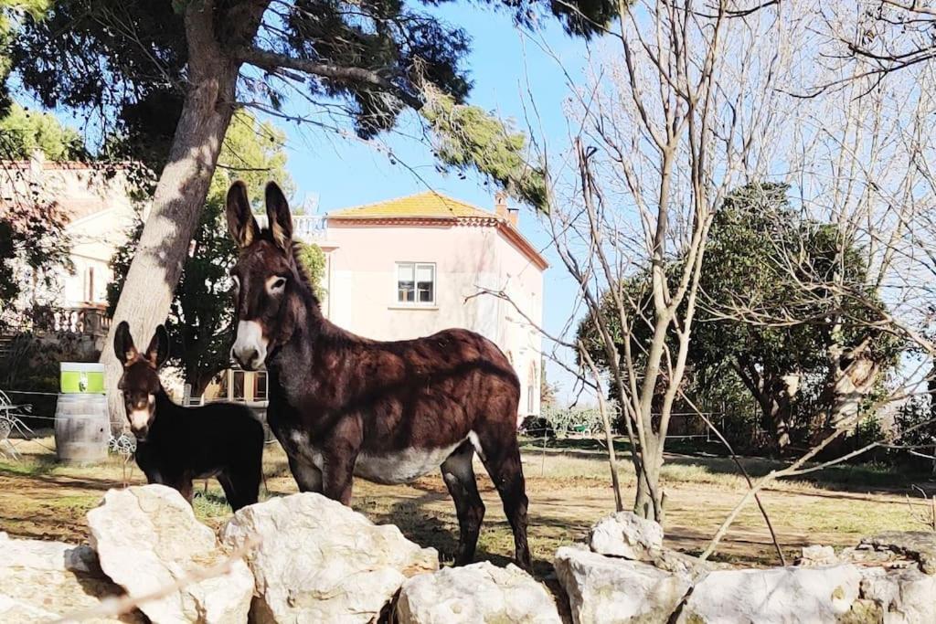 Au Coeur De La Nature Coursan Bagian luar foto