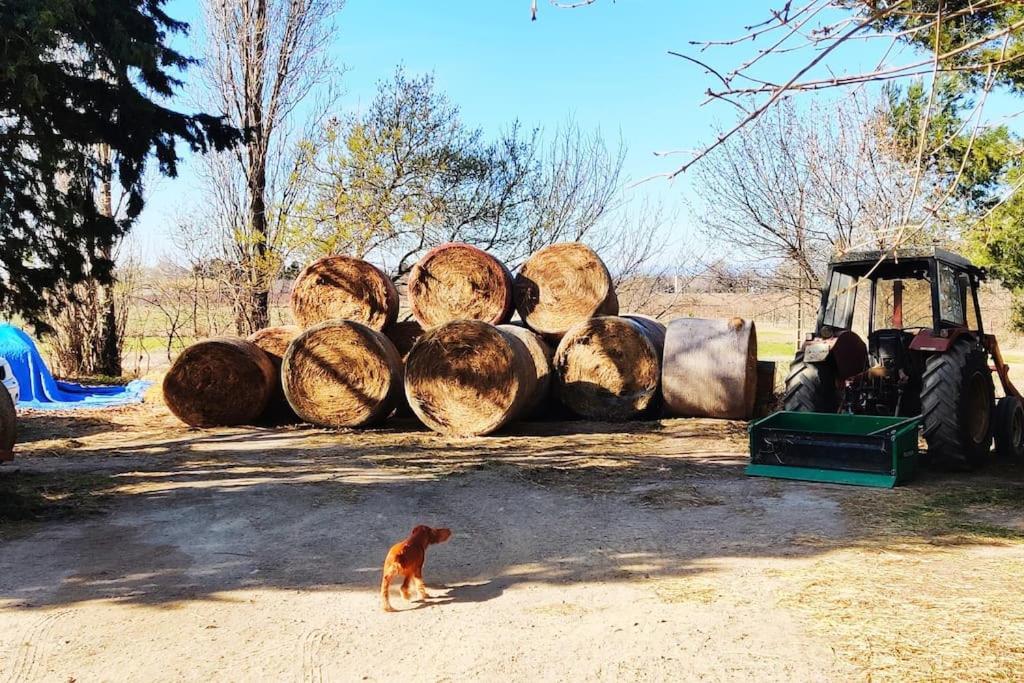 Au Coeur De La Nature Coursan Bagian luar foto